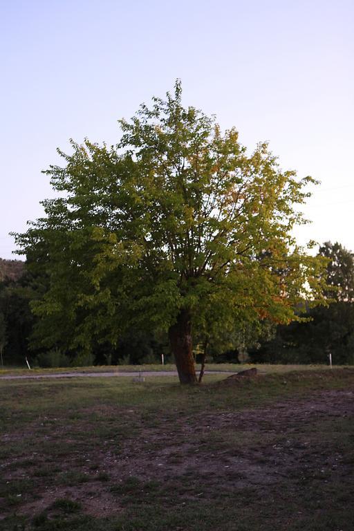 Ardeche - Gites Objectif Evasion Montreal  Bagian luar foto